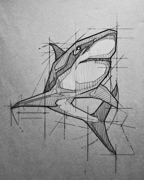 Stylised Designer Pencil Animal Drawing. Artline Drawing, Shark Illustration, Shark Drawing, Drawing Procreate, Animal Drawings Sketches, Shark Art, Procreate Art, Animal Drawing, Draw Sketch