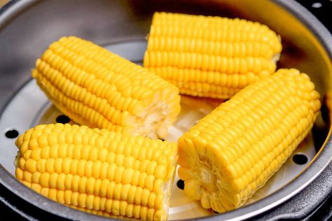 Steamed Corn on the Cob Recipe Steam Corn On The Cob, Cooking Corn On Cob, Epicure Steamer, Boil Sweet Corn, Steam Corn, Electric Steamer, How To Cook Corn, Steam Veggies, Steam Recipes