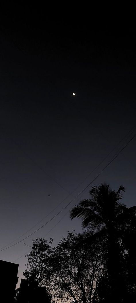 moon, palm trees, pretty moon, aesthetic moon, aesthetic, aesthetics, evening sky, pretty sky, night sky, night, darkness, dark, shading, dark sky, aesthetic sky, moon in the sky Pretty Moon Aesthetic, Dark Sky Aesthetic, Night Moon Images, Moon In The Sky, Pretty Moon, Sky Pretty, Aesthetic Moon, Moon Images, Moon Aesthetic