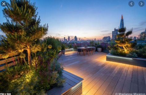 Rooftop Lighting, Garden Design London, Cottage Patio, Roof Terrace Design, Urban Garden Design, Roof Garden Design, Roof Gardens, Courtyard Gardens, Courtyard Gardens Design