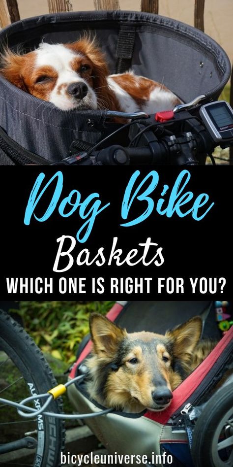 Dog Bike Baskets: Which one is right for you? #bike #stylishbikes #cycling #trafficrules #bicycleuniverse #cyclingcheap #cyclingsafe #blogging #bike #stylishbikes #cycling #bicycle #trafficrules #bicycleuniverse #cyclingcheap #cyclingsafe #blogging #cyclingquotes #motivationalquotes #quotes #bicyclehelmet #howtofixbicycletires #bicycletires #cyclingcommuting #bikepads Dog Bike Seat, Dog Bike Carrier, Bike Basket Liner, Dog Bike Basket, Mountain Bike Tattoo, Basket Bike, Best Beach Chair, Bike Baskets, Dog Bike