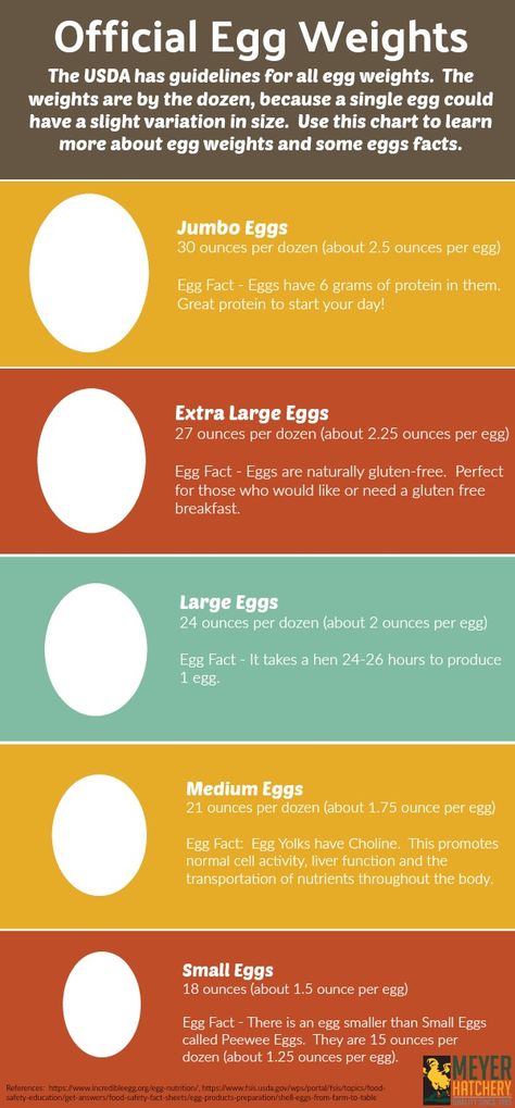 Egg Sizing Chart - Great Reference Egg Facts, Chicken Raising, Chicken Keeping, Raise Chickens, Backyard Flocks, Farm Stuff, Hatching Eggs, Hobby Farm, Farm Ideas