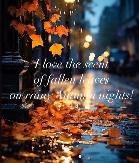 October Daily, Ber Months, Fall Gathering, Autumn Rain, Autumn Ideas, Fall Beauty, Fall Things, Autumn Magic, Fall Thanksgiving Decor