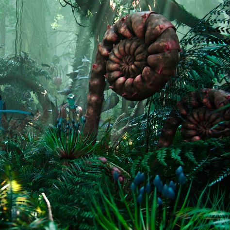 Avatar Pandora Forest Aesthetic Visuals icon Avatar Planet Pandora, Forest Of Pandora, Pandora Avatar Forest, Pandora Plants Avatar, Avatar Nature Pandora, Avatar Pandora Icons, Pandora Forest Aesthetic, Pandora Forest Avatar, Avatar 2009 Aesthetic