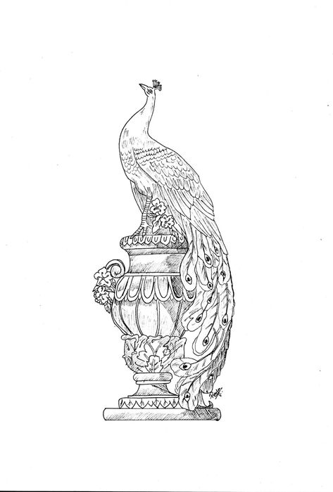 Antique Vase Tattoo, Vase Tattoo, Peacock Drawing, Arm Tats, Antique Vase, Peacock Feathers, Greek Gods, Pencil Art, Tatting