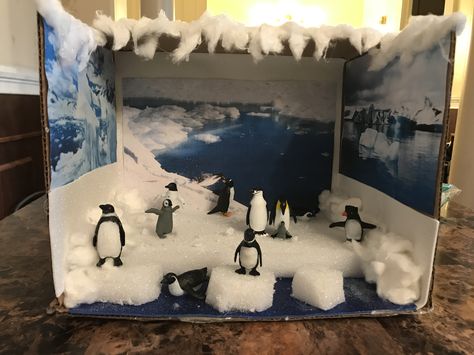 Penguin habitat Penguin Habitat Project, Emperor Penguin Diorama, Penguin Habitat Shoebox Project, Penguin Diorama, Penguin Habitat, Diaroma Ideas, Penguins Project, Diorama Kids, Habitats Projects