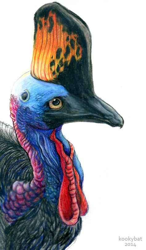 Cassowary Bird, Snake Sketch, Realistic Animal Drawings, Tropical Painting, Flower Art Drawing, Childrens Drawings, Prismacolor Pencils, Puzzle Art, Fantasy Art Landscapes