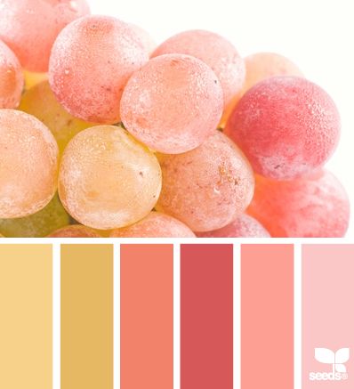 Color Pick Hue Color, Color Palate, Design Seeds, Trik Fotografi, Color Pick, Color Textures, Colour Schemes, Color Of Life, Color Pallets