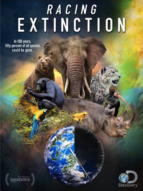 Racing Extinction Best Documentaries, Discovery Channel, Endangered Animals, Feature Film, Blu Ray, Filmmaking, Cool Things To Buy, Documentaries, Opera