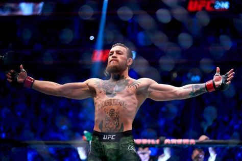 Conor Mcgregor Wallpaper Hd, Conor Mcgregor Wallpaper, Mcgregor Wallpapers, Messi Y Cristiano, Ufc Conor Mcgregor, Diego Sanchez, Chuck Liddell, Donald Cerrone, Connor Mcgregor