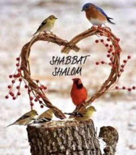 Romantic Good Morning Images, Bon Sabbat, 4th Commandment, Happy Sabbath Quotes, Good Shabbos, Happy Sabbath Images, Sabbath Quotes, Shabbat Shalom Images, Feasts Of The Lord