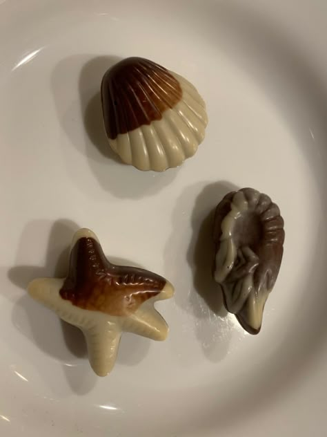 cute yummy milk chocolate seashell ocean candy Sea Shells Chocolate, Sena Core, Seashell Chocolates, Chocolate Seashells, Chocolate Figures, Egg Cupcake, Lego Plants, Chocolate Aesthetic, Food Date