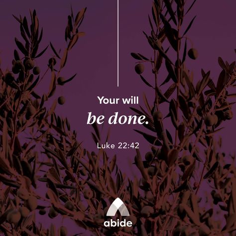 Journey to the Cross - Day #3: Your Will Be Done - Luke 22:42 | Abide Journey To The Cross, Luke 22 42, Godly Encouragement, Passion Week, Your Will Be Done, The Garden Of Gethsemane, Garden Of Gethsemane, Uplifting Words, Done With You