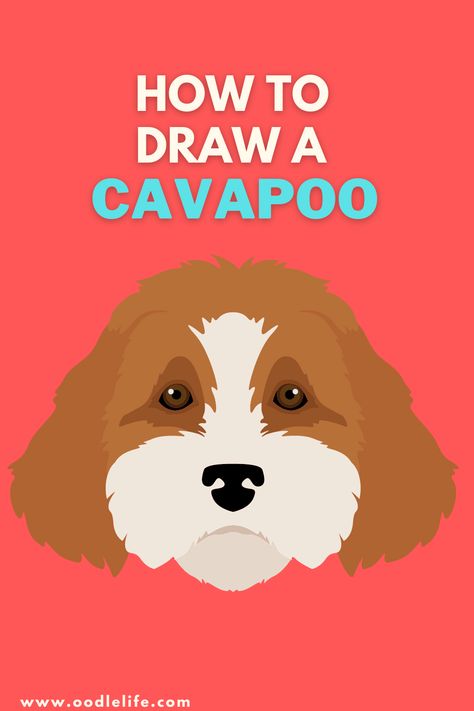 Cavoodle Drawing, Cavapoo Drawing, Graphite Sketches, Steps To Draw, Cavapoo Dogs, Cavapoo Puppy, Cavapoo Puppies, Puppy Art, Fun To Draw