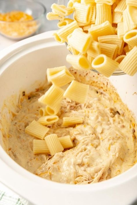 Crockpot Cheesy Chicken Rigatoni Recipe - MenuPlans.com Making Menu Planning Easy! Crockpot Rigatoni, Cheesy Chicken Rigatoni, Rigatoni Casserole, Crockpot Cheesy Chicken, Chicken Rigatoni, Rigatoni Recipe, Rigatoni Recipes, Rigatoni Pasta, Ham And Beans