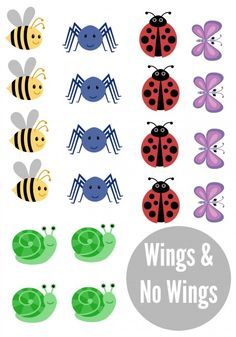 FREE Printables for preschool circle time activities . Sorting, matching ad more for groups! Free Printables For Preschool, Preschool Circle Time Activities, The Very Hungry Caterpillar Activities, Spring Theme Preschool, Hungry Caterpillar Activities, Insects Preschool, Bugs Preschool, Insect Activities, Time Lessons