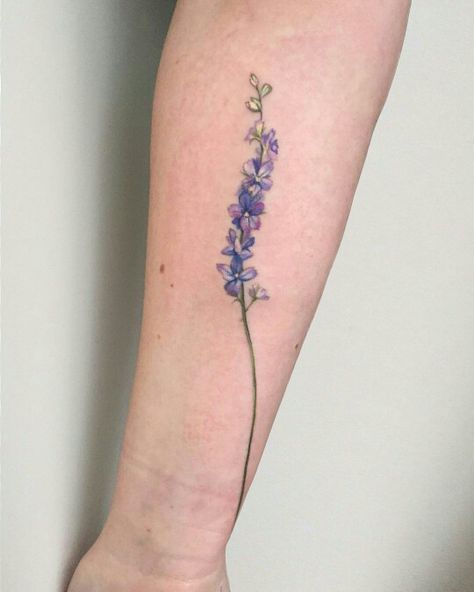 Realistic lavender tattoo NYC Hyssop Flower, Delphinium Tattoo, Larkspur Tattoo, Delicate Flower Tattoo, Lavender Tattoo, Beautiful Flower Tattoos, Blue Tattoo, Hummingbird Tattoo, Tattoo Feminina