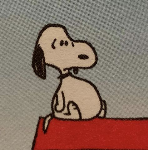 Snoopy Images, Snoopy Wallpaper, Snoopy Pictures, Snoop Dog, Snoopy Love, Mia 3, Cartoon Memes, Snoopy And Woodstock, Peanuts Snoopy