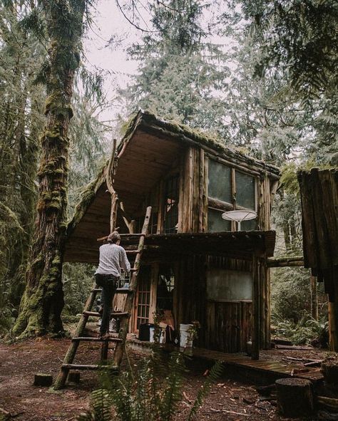 grayskymorning: “Sam Landreth ” Cabin Chronicles, Cabin Loft, Natural Homes, Lost In The Woods, Cabin Living, Tiny Cabin, Natural Building, Tiny House Cabin, Small Cabin