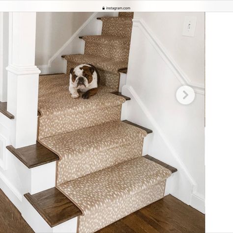 Affordable printed nylon carpet by Milliken. Milliken Carpet, Stairway Carpet, Carpet Inspiration, Stair Renovation, Foyer Staircase, Animal Print Decor, Neutral Carpet, Stair Carpet, Stair Remodel