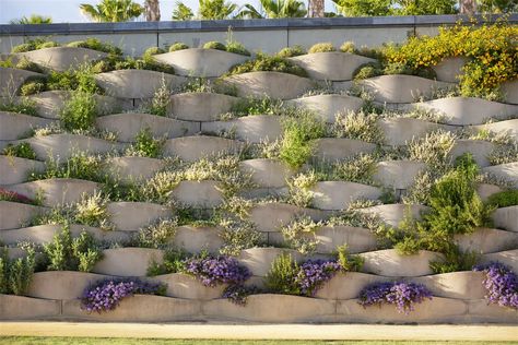 Valencia Parque Central by Gustafson Porter Bowman Sound Barrier Wall, Parking Lot Architecture, Linear Park, Compound Wall, Urban Beauty, Mediterranean Landscaping, Zaha Hadid Architects, Natural Park, European History