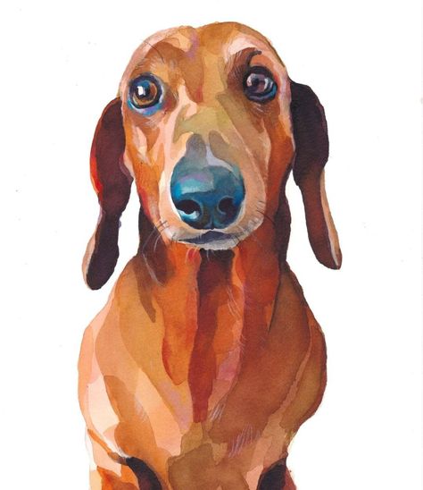 Vintage Dachshund Illustrations, Sausage Dog Painting, Daschund Watercolour, Dachshund Paintings, Daschund Art, Dachshund Watercolor, Arte Dachshund, Dachshund Painting, Doxie Art