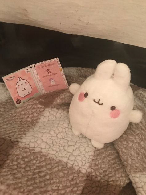 Molang Plushies, Molang Plushie, Molang Plush, Bookstagram Inspiration, Cute Stuffed Animals, Pusheen, Pretty Selfies, Stuffed Animal, Hello Kitty