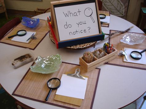 "Does your school have an area for outdoor exploration? How do you use the outdoor environment to enhance your program?" The Curious Kindergarten ≈≈ Reggio Inspired Classrooms, Inquiry Learning, Reggio Classroom, Reggio Inspired, Kindergarten Science, Outdoor Classroom, Preschool Science, Classroom Environment, Classroom Design