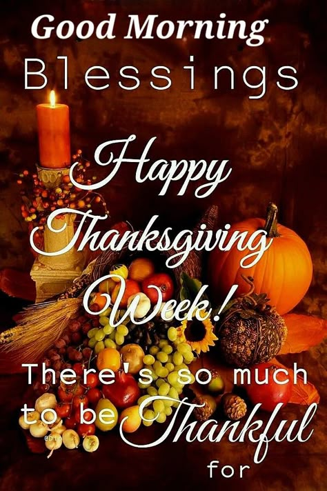 Thanksgiving Week Quotes, Thanksgiving Quotes Friends, Happy Thanksgiving Quotes Friends, Thanksgiving Meme, Thanksgiving Sunday, Happy Thanksgiving Pictures, Happy Thanksgiving Images, Thanksgiving Messages, Happy Thanksgiving Turkey