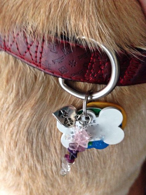 Crystal Dog Collar, Dog Charms Collar, Dog Crystals, Pet Healing, Collar Ideas, Dog Collar Charms, Dog Corner, How To Make Crystals, Diy Dog Collar