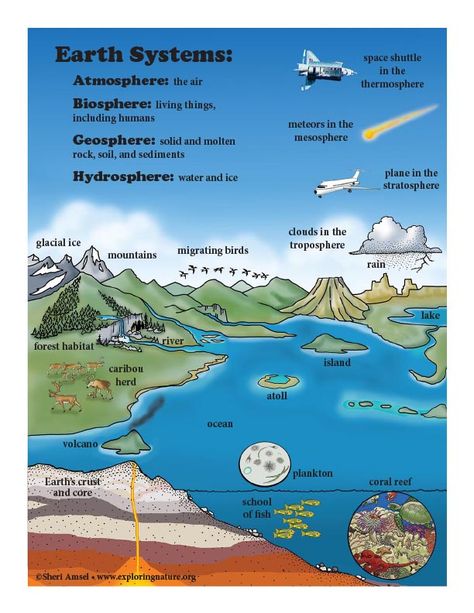 Learn about Earth Systems and Ecology on Exploringnature.org 4 Subsystems Of The Earth, Subsystems Of The Earth, Biomes Activities, Earth Systems, Earth Activities, Earth's Spheres, Desert Biome, Performance Tasks, Reading Vocabulary