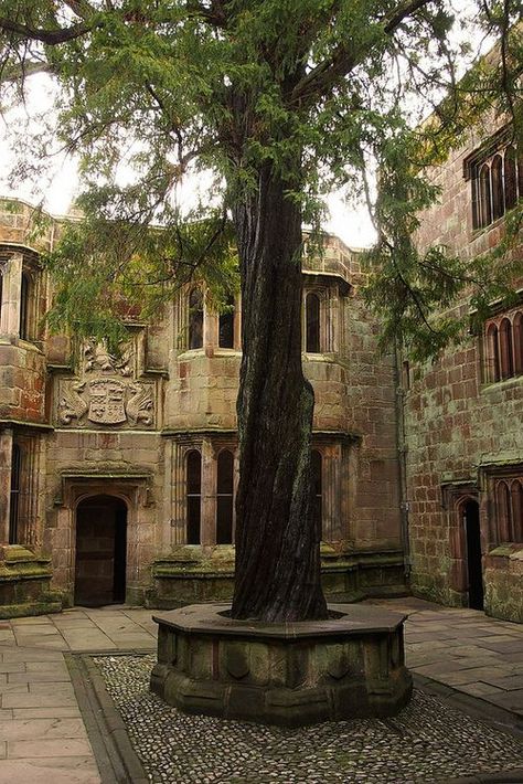 Inside Castle, Yew Tree, Stone Floors, Yorkshire Dales, Beautiful Aesthetic, The Courtyard, Beautiful Castles, Stately Home, Medieval Castle