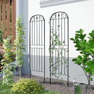 Expanding Trellis, Vinyl Lattice Panels, Obelisk Trellis, Trellis Netting, Wire Trellis, Willow Garden, Iron Trellis, Arbors Trellis, Arch Trellis