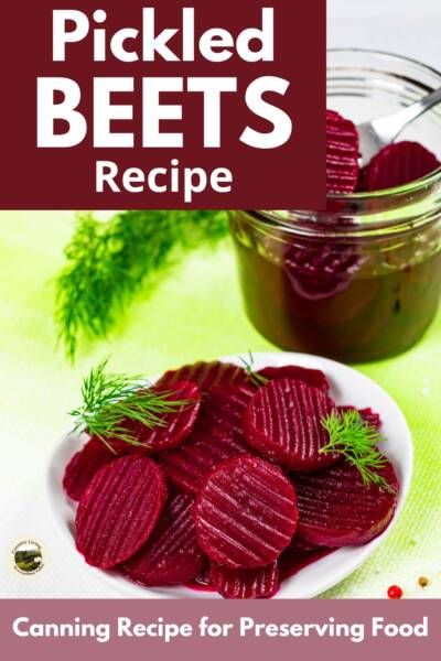 Refrigerator Pickled Beets, Beets Benefits, Canned Pickled Beets, Canning Beets, Pickled Beets Recipe, Beets Recipe, Canning Salt, Cooking Beets, Canning Food Preservation