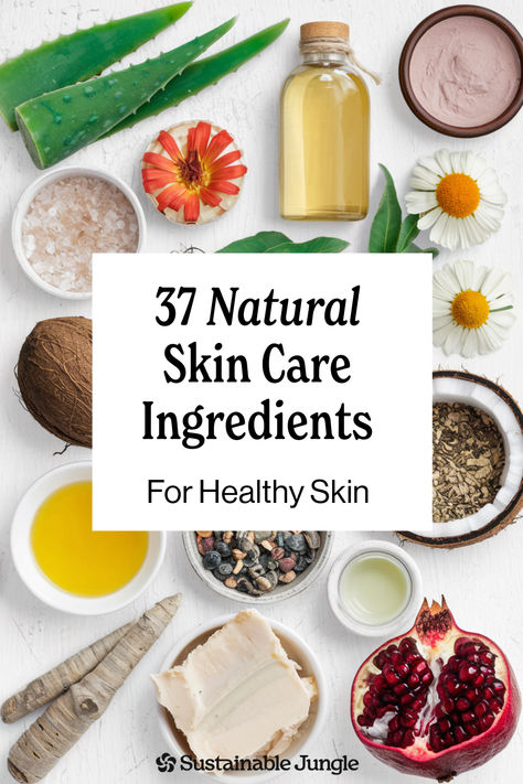 With a plethora of “natural” ingredients out there how exactly do you differentiate between the best, most effective natural skin care ingredients that will actually improve the health of your skin? This skin care guide will help (and it includes a glossary of need to know terms)! Natural Skin Care Recipes Simple, Best Ingredients For Skin, Just Natural Skin Care, Skin Care Natural Ingredients, Natural Products For Skin, Natural Skincare Ingredients, Food Essentials, Skincare Science, Homemade Cleaning Supplies