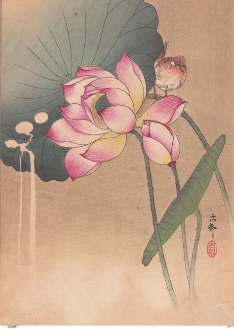 Shoson Ohara: Lotus Flower and Finch - Japanese Art Open Database Image Zen, Art Chinois, Ohara Koson, Lotus Flowers, Art Japonais, Art Et Illustration, Japanese Woodblock Printing, Japanese Painting, Art And Illustration