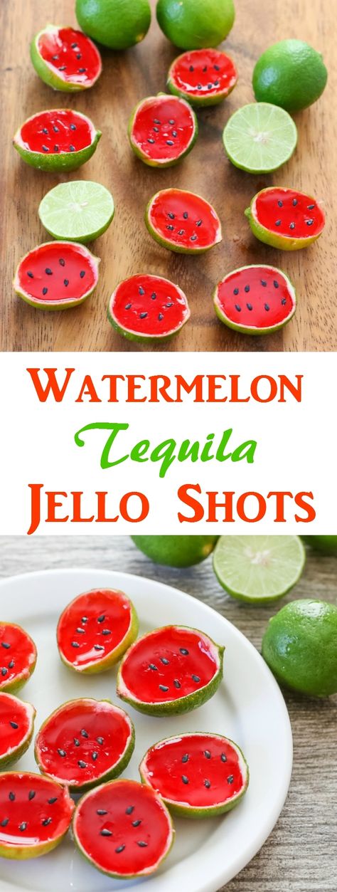 Watermelon Tequila Jello Shots Tequila Jello Shots, Watermelon Jello Shots, Watermelon Tequila, Watermelon Jello, Party Ideas College, Jello Pudding Shots, San Diego Food, Jell O Shots, Pudding Shots