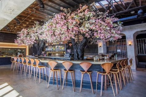 Dine Under An Enchanting Cherry Blossom Tree At This Magical Southern California Eatery Carlsbad Flower Fields, Old Town San Diego, San Diego Restaurants, Hotel Del Coronado, Torrey Pines, Point Loma, Unique Restaurants, Epic Photos, Instagrammable Places