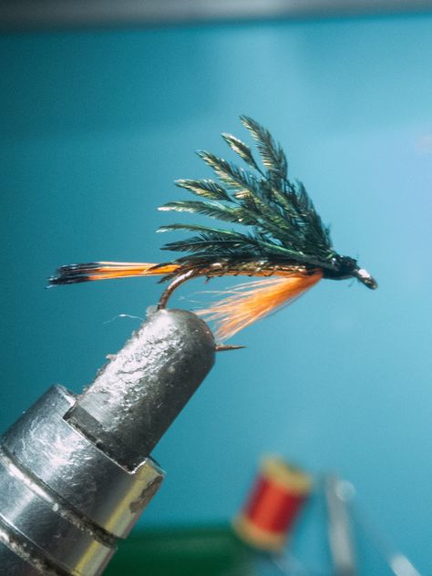 Dry Fly Tying Patterns, Bass Fishing Decor, Best Trout Flies, Fly Fishing Photography, Tying Flies, Sea Trout, Fly Fishing Art, Fishing Art, Fly Fishing Flies Pattern