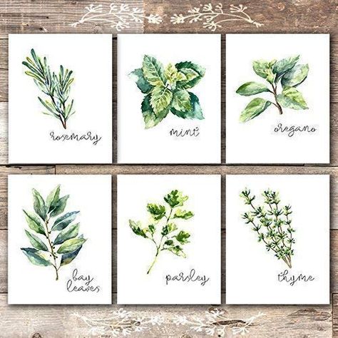 The Best Pictures For Kitchen Wall Decor That Everyone Will Love - SwankyDen.com Pictures For Kitchen Walls, Classic Farmhouse Decor, Sparrow Art, Herb Art, Kitchen Artwork, Kitchen Glass, Kitchen Herbs, Kitchen Art Prints, Botanical Print Set