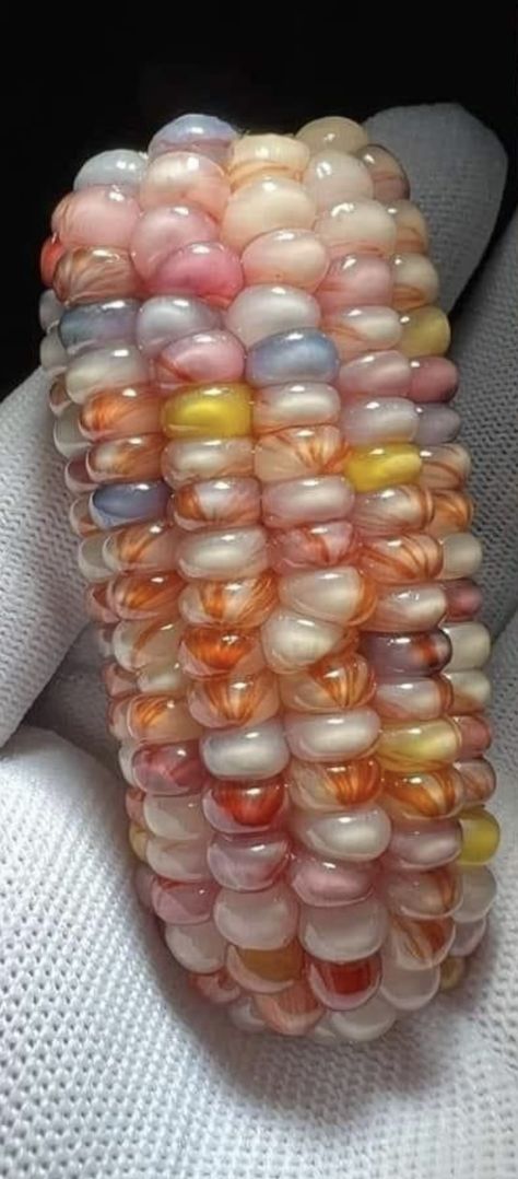 Glass Gem Corn Decoration, Jayden Core, Corn Aesthetic, Corn Photography, Corn Photo, Colorful Corn, Gem Corn, Rainbow Corn, Glass Gem Corn