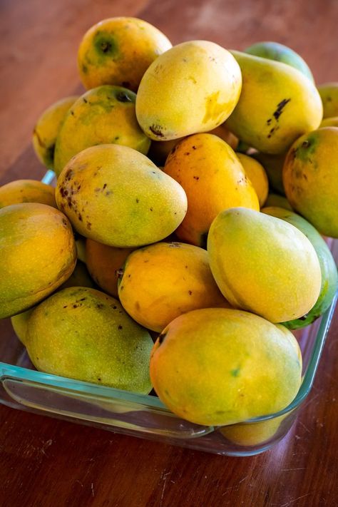 mango season in the Caribbean Mango Varieties, Mango Flower, Mango Drinks, Flavored Beer, Tropical Food, Mango Fruit, Mango Tree, Mango Recipes, Caribbean Food