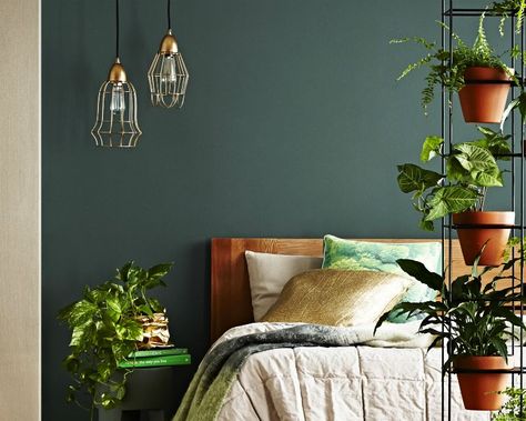 View The Most Popular Green Paint Colours & Schemes | Dulux Green Bedroom Paint, Green Bedroom Walls, Paint Color Schemes, Bedroom Wall Colors, Green Paint Colors, Green Walls, Bedroom Paint Colors, Bohol, Green Interiors