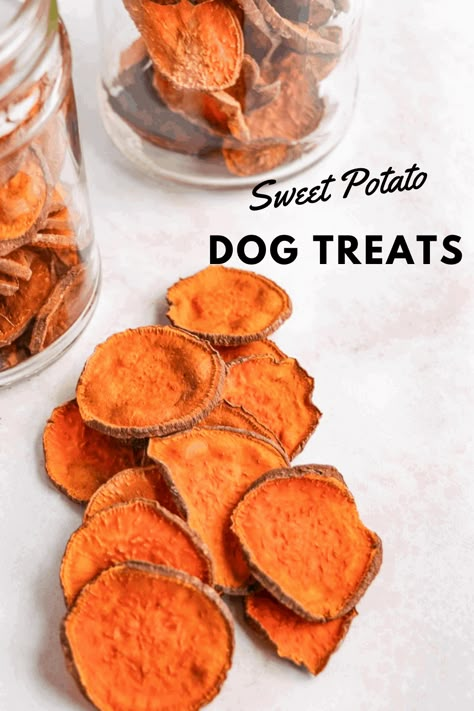 Easy sweet potato dog treats that are simple to make and cheaper than store-bought goodies.  You can just bake or dehydrate the potatoes as a healthy treat for your dogs and they will absolutely love them. Sweet Potato Snacks, Sweet Potato Dog, Sweet Potato Dog Treats, Potato Dog, Pet Treats Recipes, Dog Treats Homemade Easy, Easy Dog Treat Recipes, Dog Biscuit Recipes, Easy Dog Treats