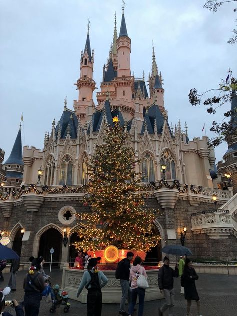 #christmas #japan #cute #kawaii #pinterest #instagram #christmasdecor #japanesecore #beautiful #disneyland Christmas In Tokyo, Christmas In Japan, Japan Disneyland, Disneyland Paris Christmas, Christmas Japan, Japanese Christmas, Disney Tokyo, Japan Christmas, Japan Cute