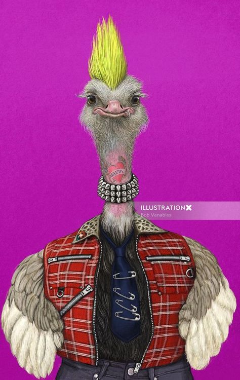 Anthropomorphic animals Ostrich illustration Ostrich Illustration, Anthropomorphic Animals, Magazine Illustration, Kinds Of Birds, Old Maps, Animal Heads, Dog Face, Craft Patterns, Handmade Accessories