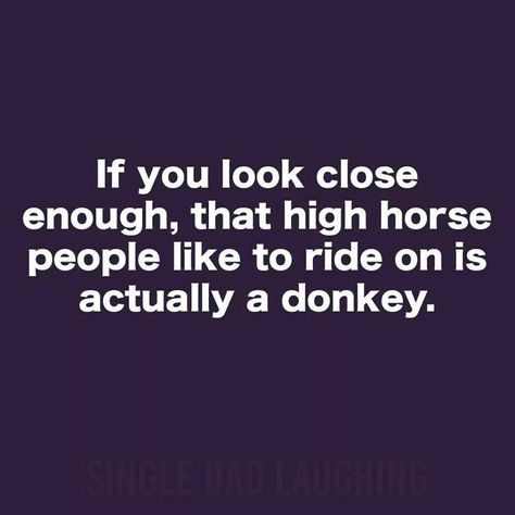 If you look close enough, that high horse people like to ride on is actually a donkey. High Horse, Horse Quotes, Single Dads, Wonderful Words, Sarcastic Quotes, Bones Funny, Wise Words, Life Lessons, Favorite Quotes