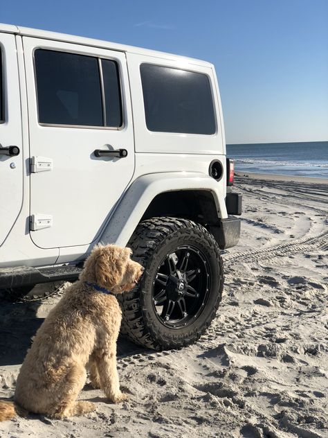 Toy Golden Doodle, Cars Jeep Wrangler, Types Of Jeeps, Me In 2023, Pics W Friends, Jeep Dogs, White Jeep, Car Photoshoot, Cars Jeep