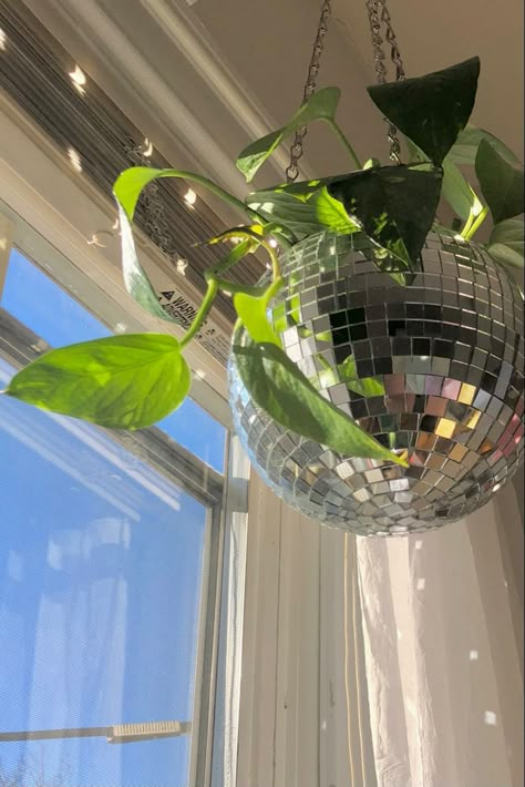 Disco Ball Planter, Mirror Ball, Disco Ball, Plant Hanger, Patio, Mirror, Chain, Plants, Green