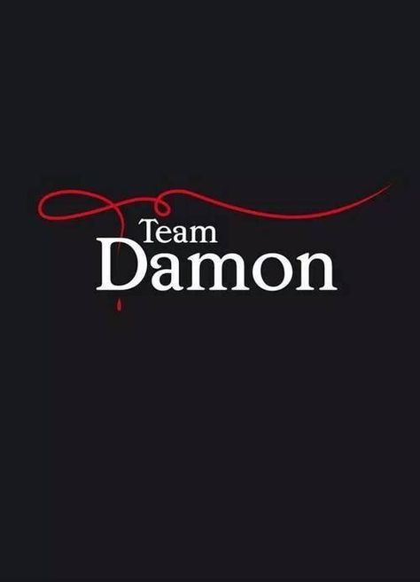 TEAM DAMON Team Damon, Harley Quinn Quotes, Damon Salvatore Vampire Diaries, Vampier Diaries, Vampire Diaries Movie, Vampire Diaries Guys, Vampire Diaries Wallpaper, Vampire Diaries Damon, Vampire Diaries Funny